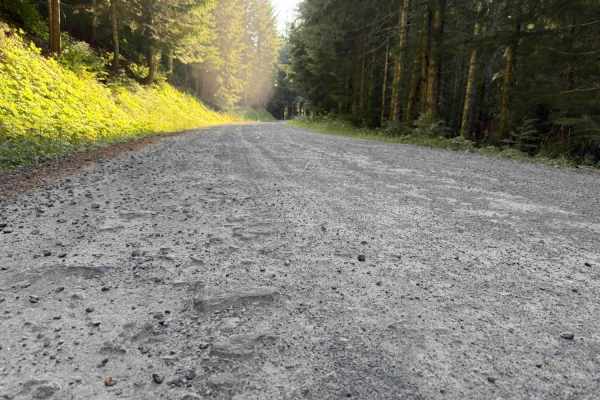 Merrill Lake Road - FS 81