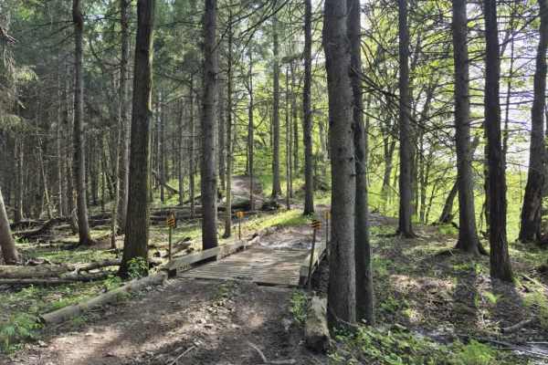 Upper Forks-Factory Trail