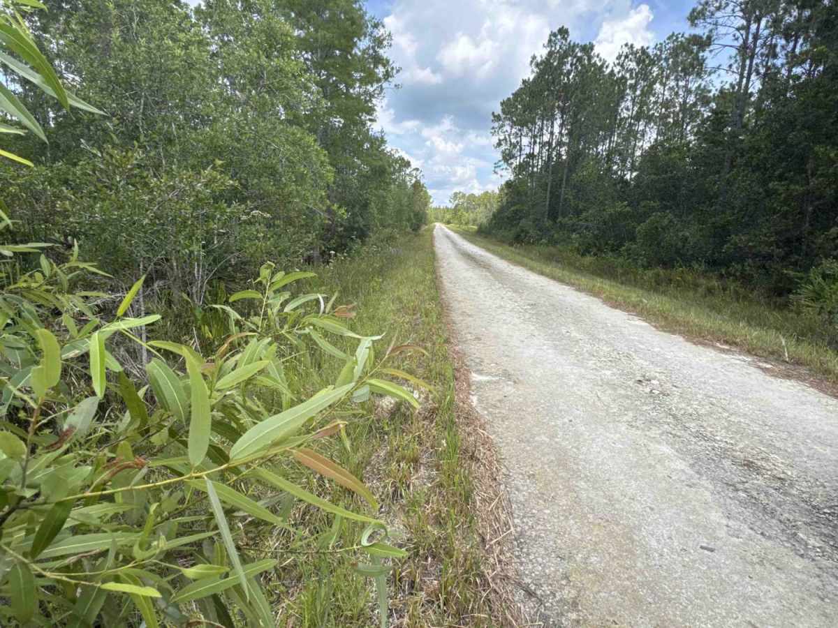 Gopher Ridge Road photo 5