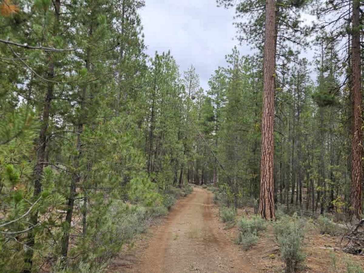 FS 8600870 trail photo