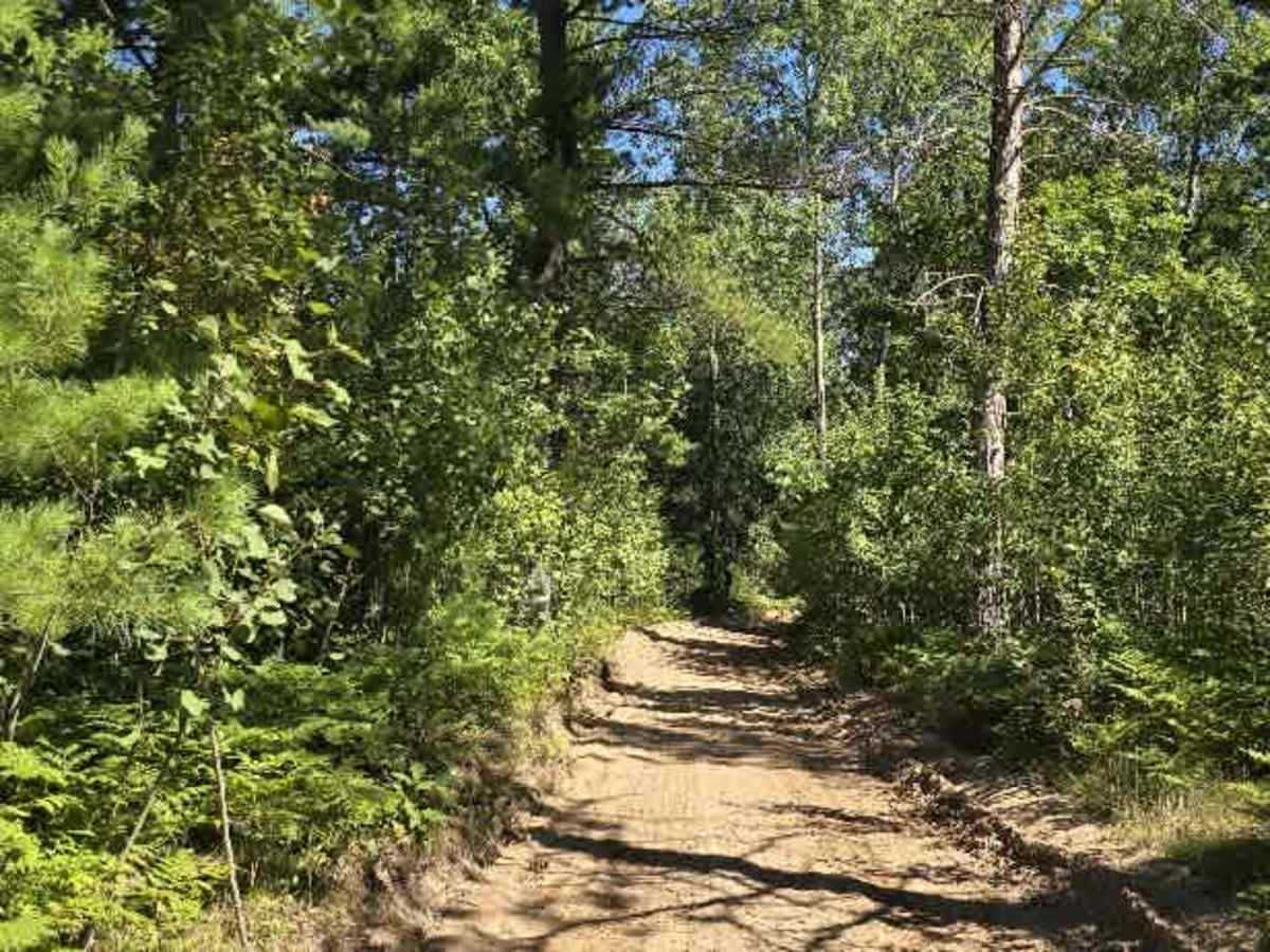 Beaver Dam Road photo 2