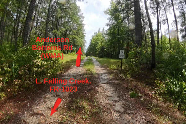 Lower Falling Creek - FS 1023