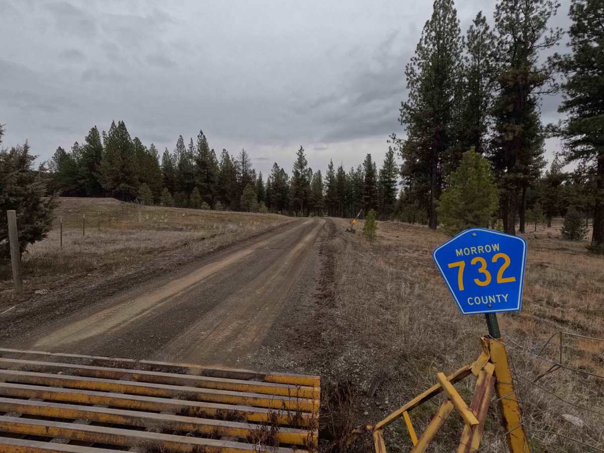 Wilson Creek Road - FS 2128 photo 2