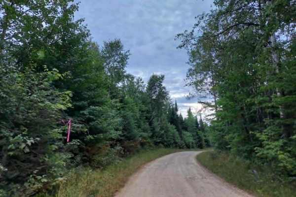 Truck Trail 3