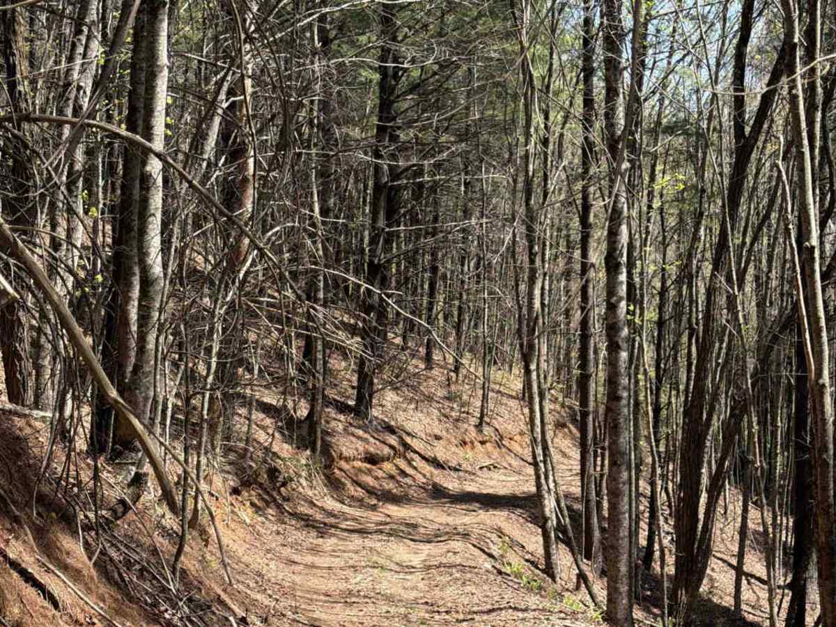 Stonewall Knob - FS 416 photo 5
