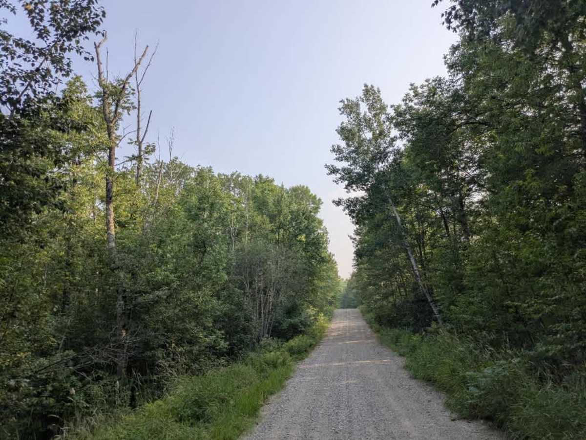 FS 451 photo 3