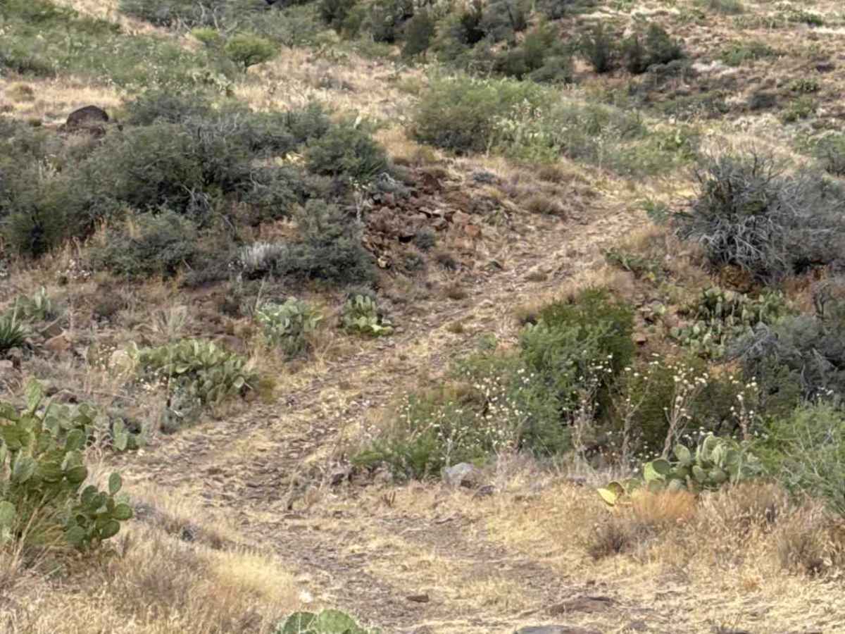 BLM 36046 photo 4