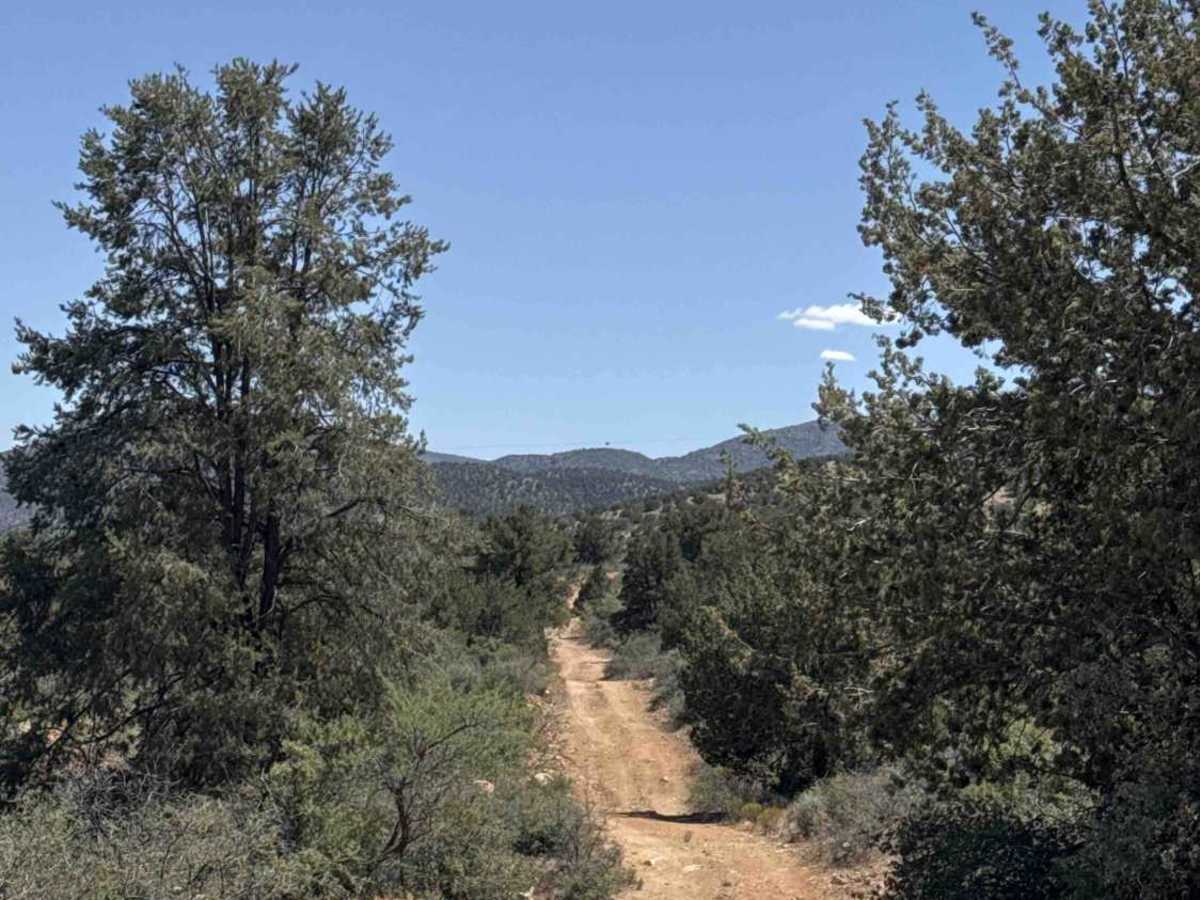 Lower Mine Trail  trail photo