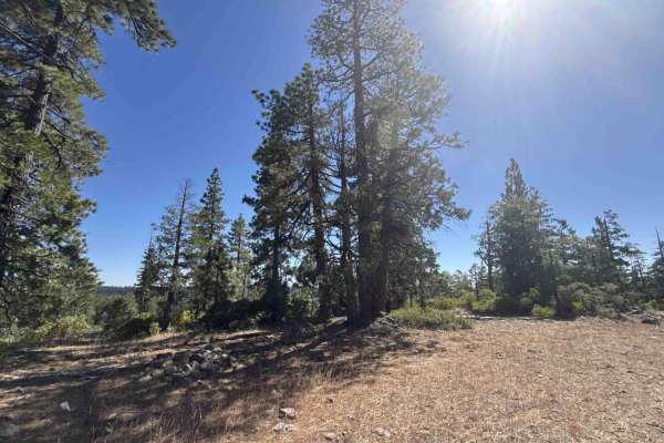 Buck Ranch - FS 6N09
