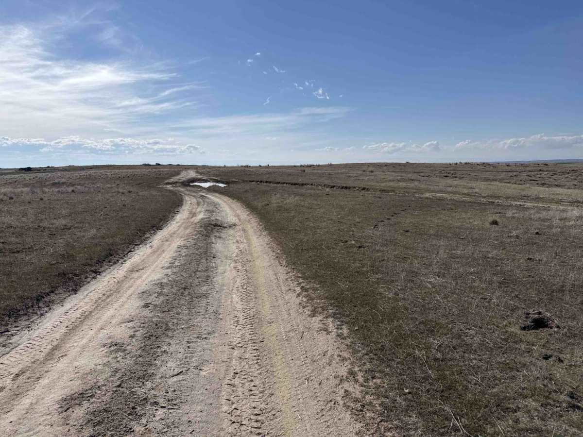South Curlew Connector photo 3