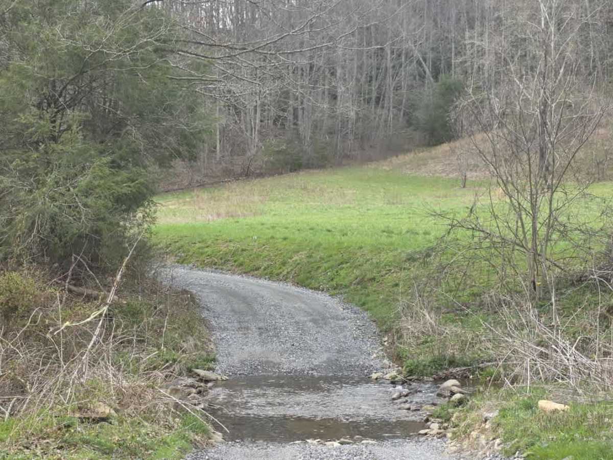 Big Creek photo 2