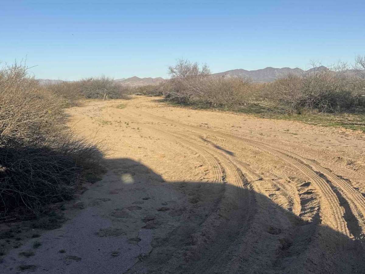 Ss1061a trail photo