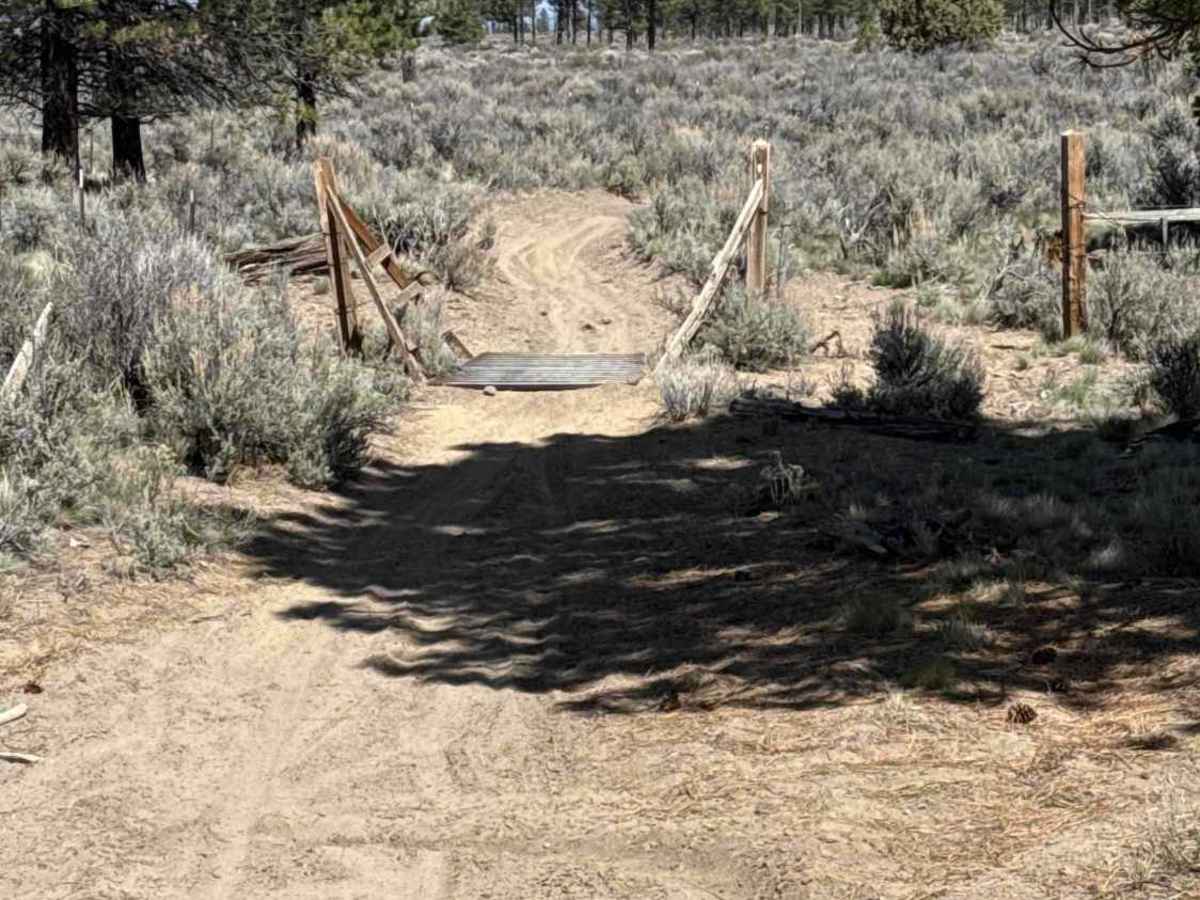 East Fort Rock - OHV Trail 10 trail photo