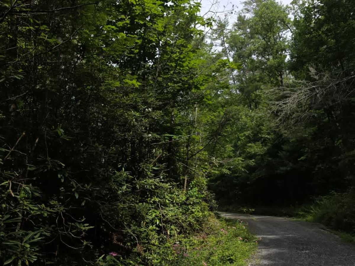 Doe Branch Road photo 3