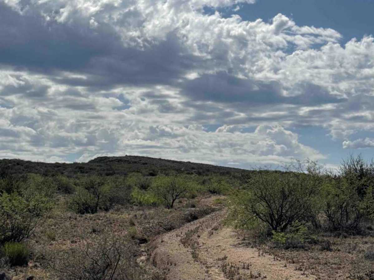 Upper Creek Bypass trail photo