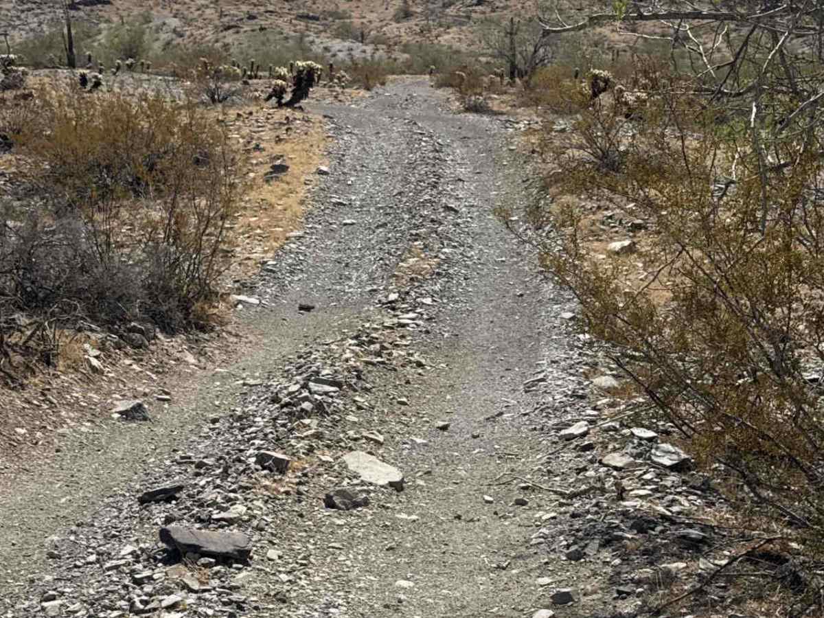 Cholla Ridge  photo 4