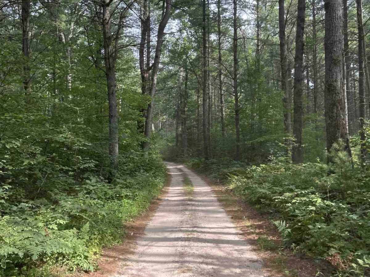 FS 2137 trail photo