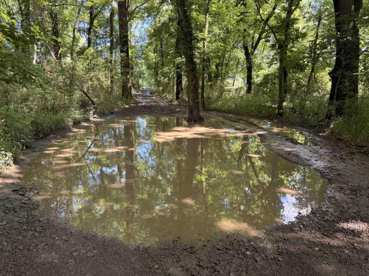 Lower Lee Creek Trail photo 4
