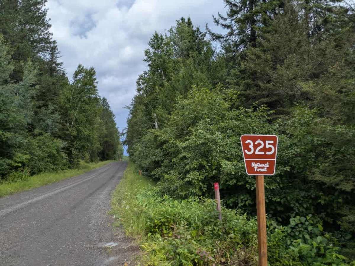 South Brule - FS 325 trail photo