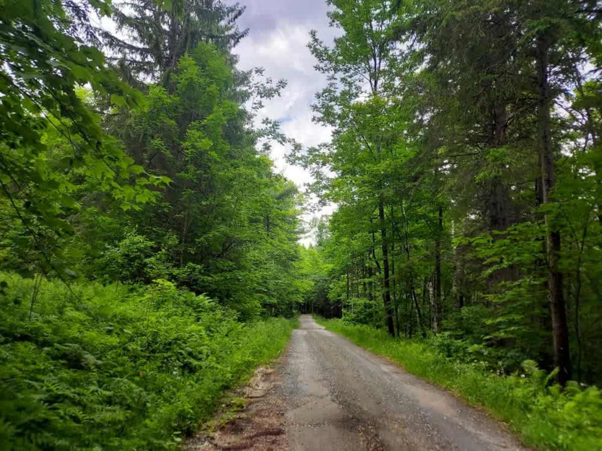 Messer Hill Road trail photo