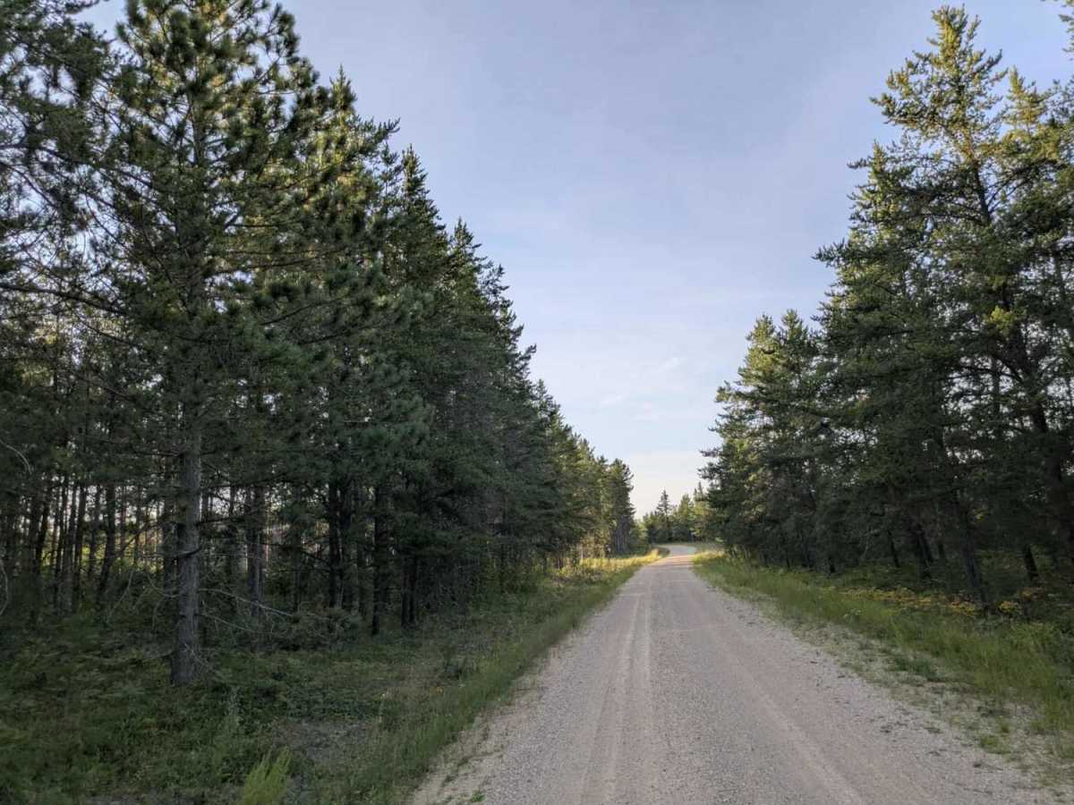 Santa Anna Forest Road photo 5