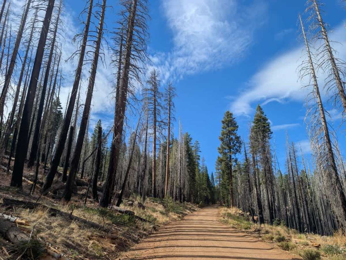 FS 31N26 trail photo