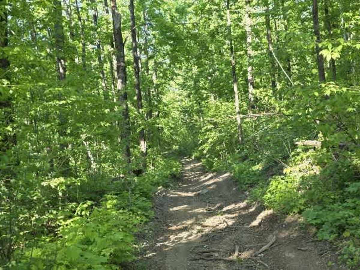 Wolf Run photo 6