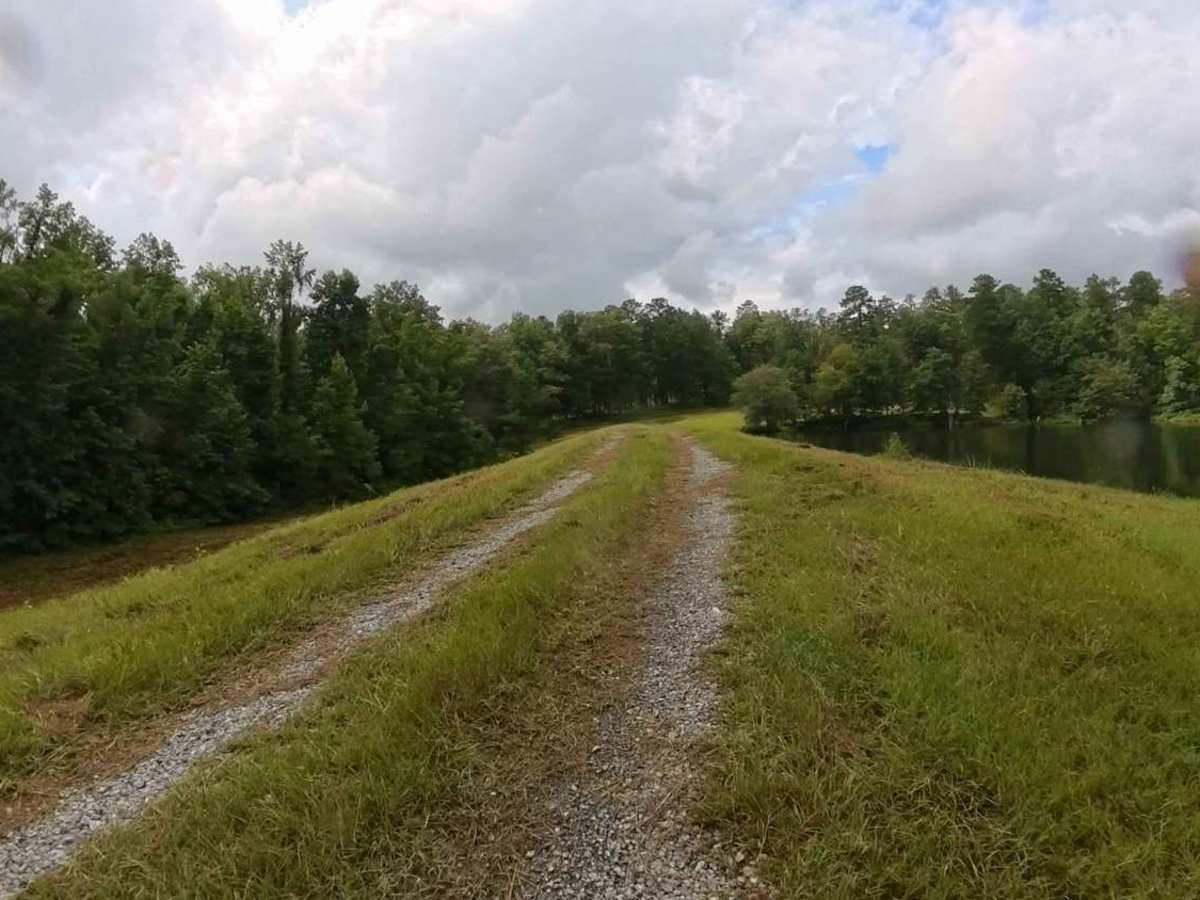 Pond 11a Access Road trail photo