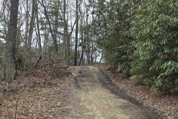 Upper Briar Creek - FS 4354