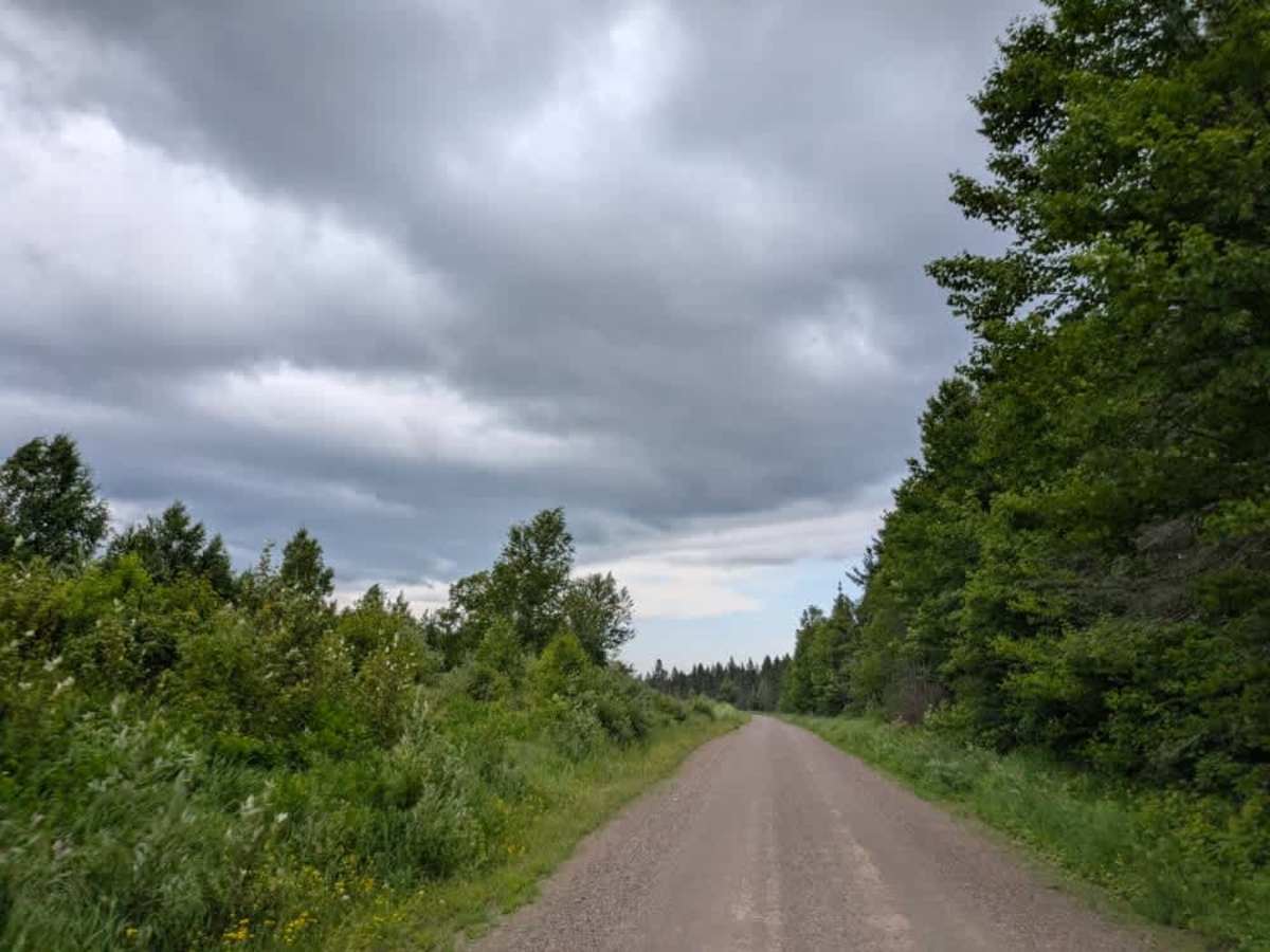 Stony River Forest Road photo 6