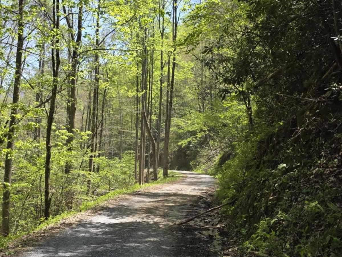 Panhandle Road trail photo