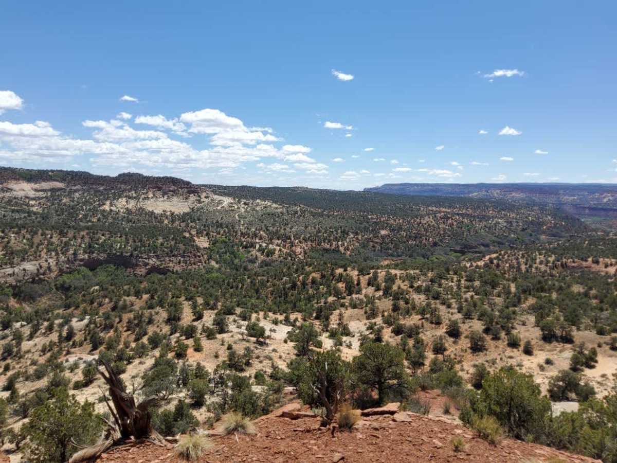 BLM 101N photo 2