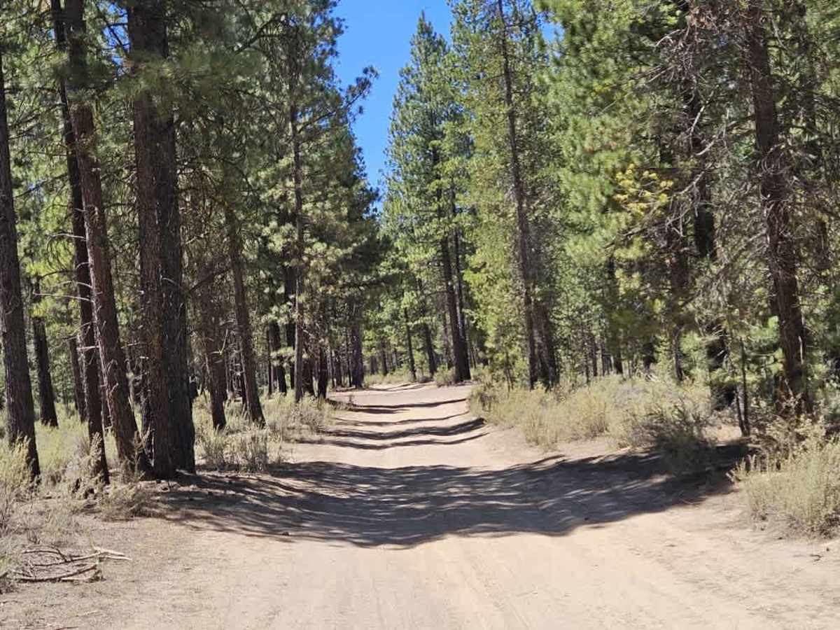 FS 4330300 trail photo