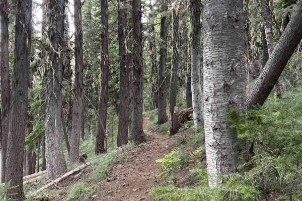 State Line (7)