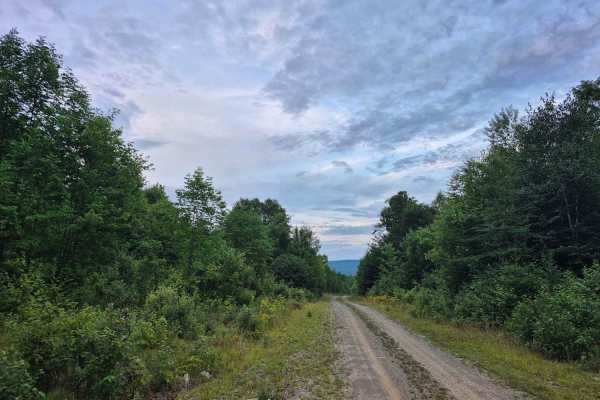 Truck Trail 2