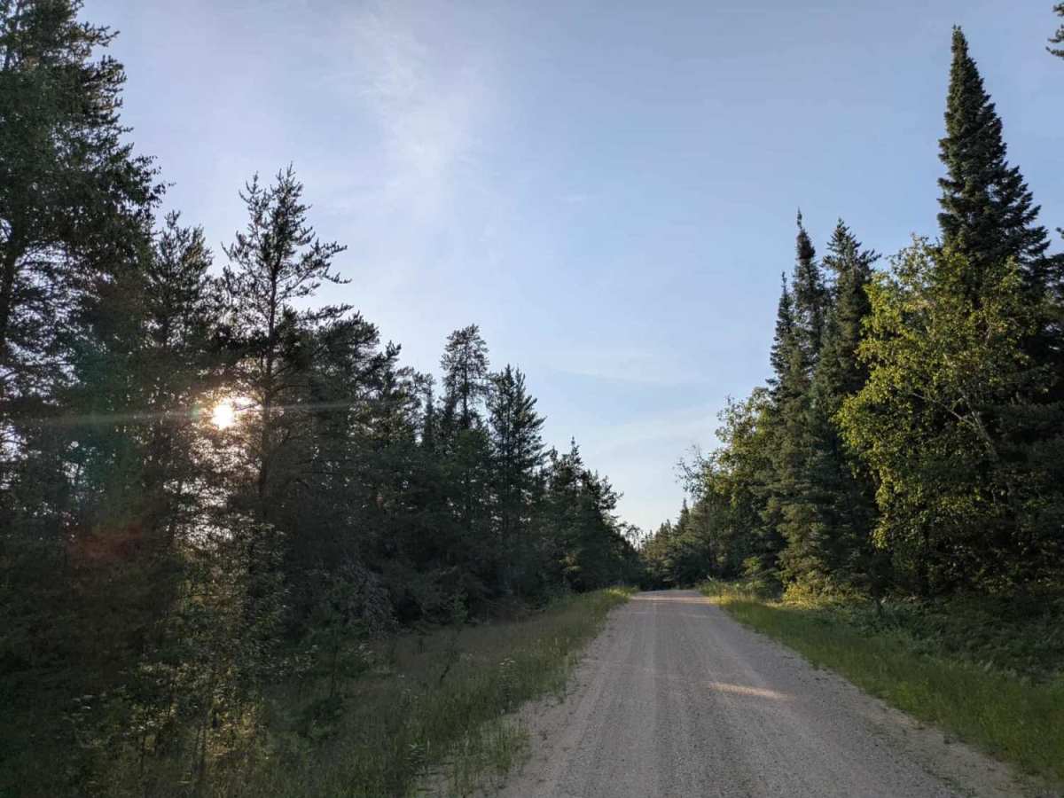 Santa Anna Forest Road trail photo