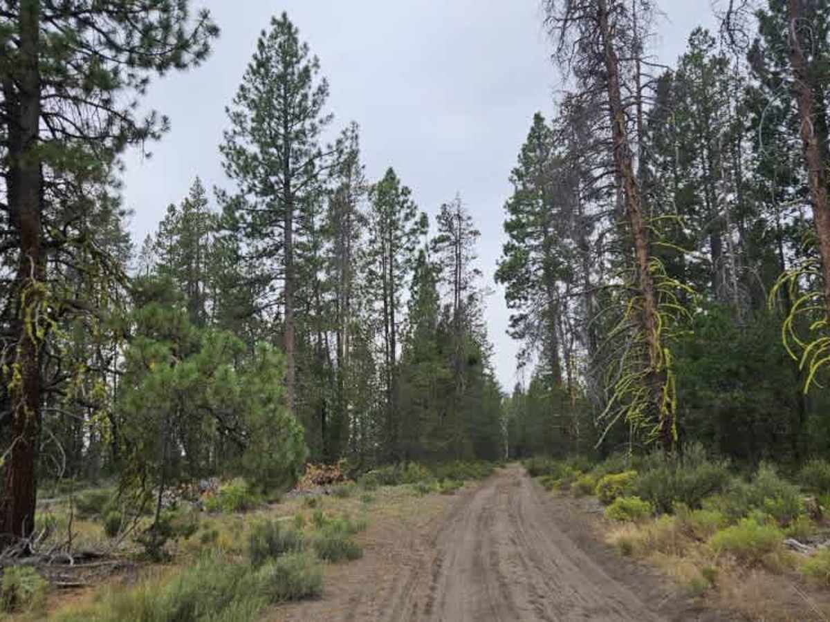 FS 7600791 trail photo