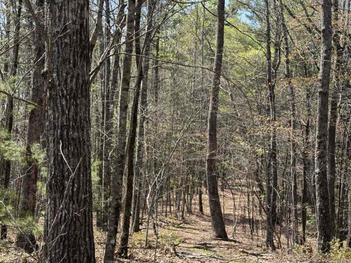 Stonewall Knob Spur photo 4
