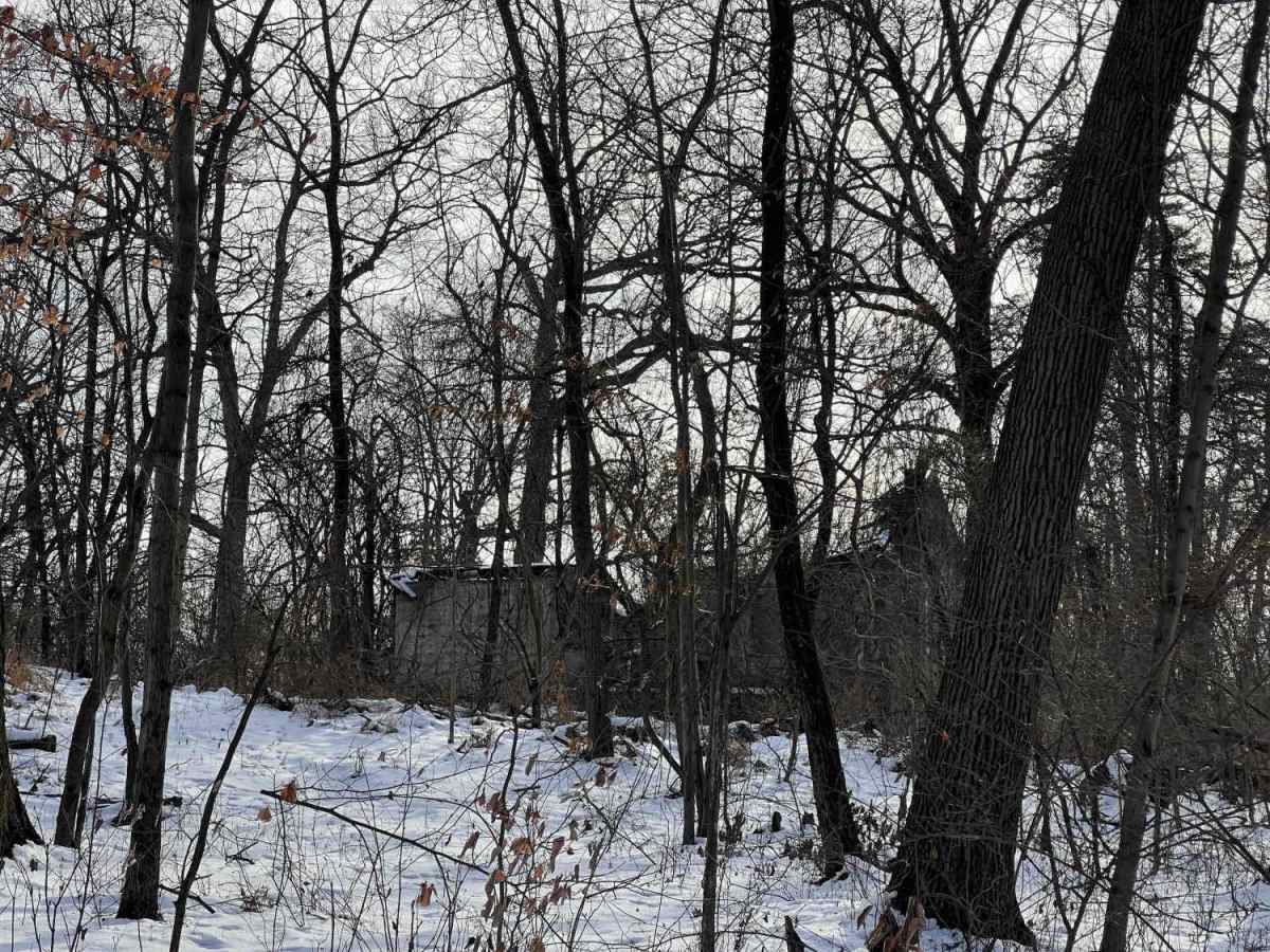 Possum Hollow photo 2