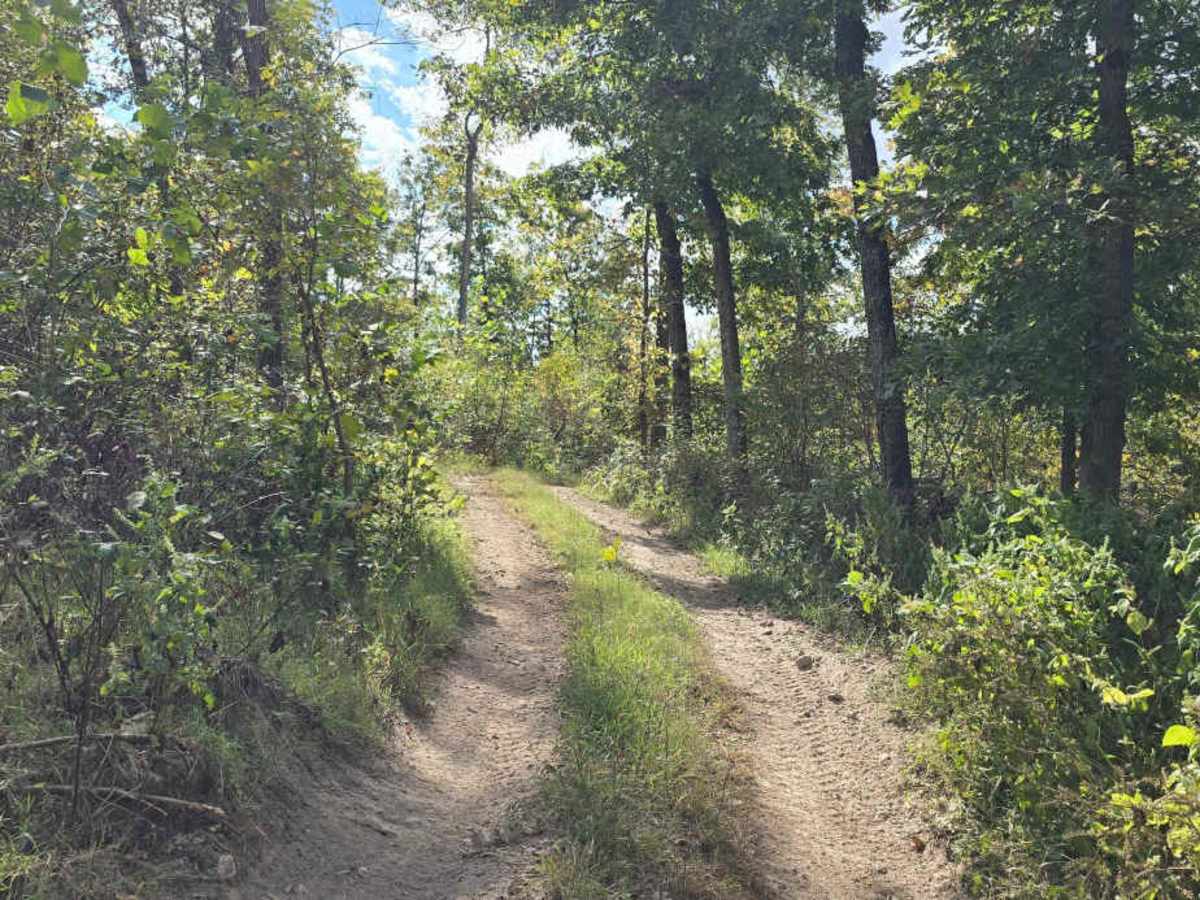 Fresno Trail photo 5