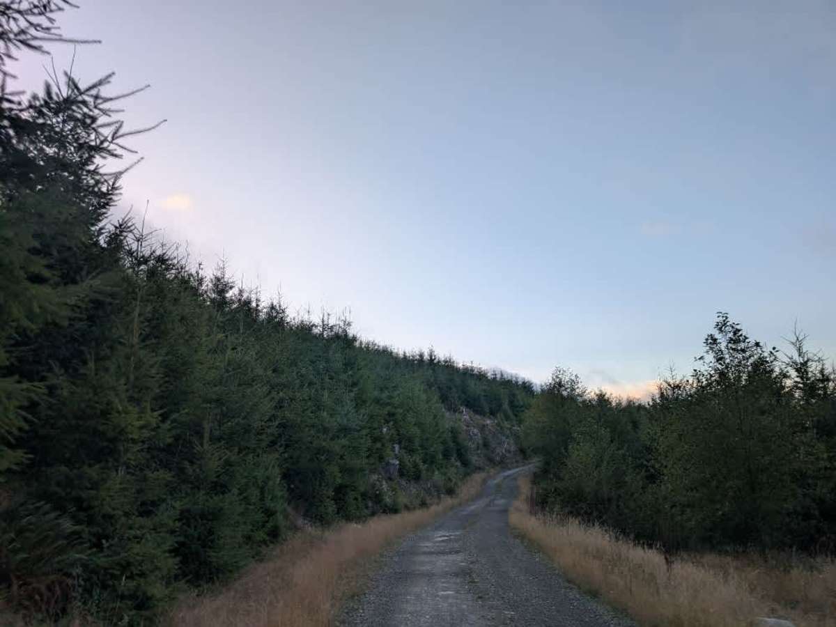 FS 1014 photo 4