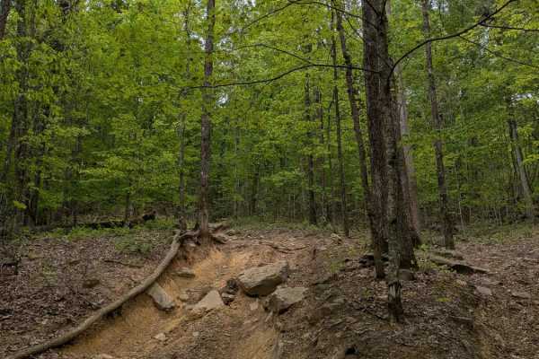 Trail 90