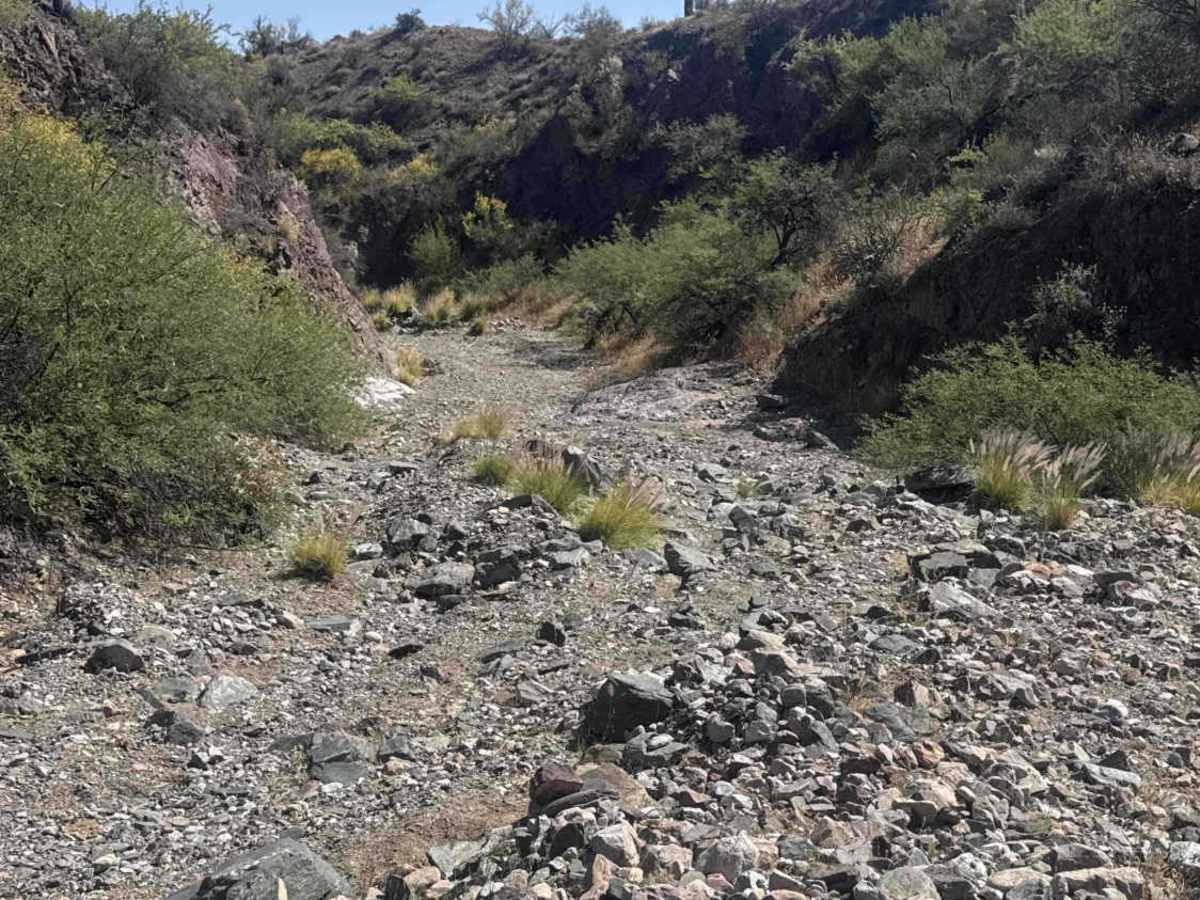 Black Butte Wash photo 2
