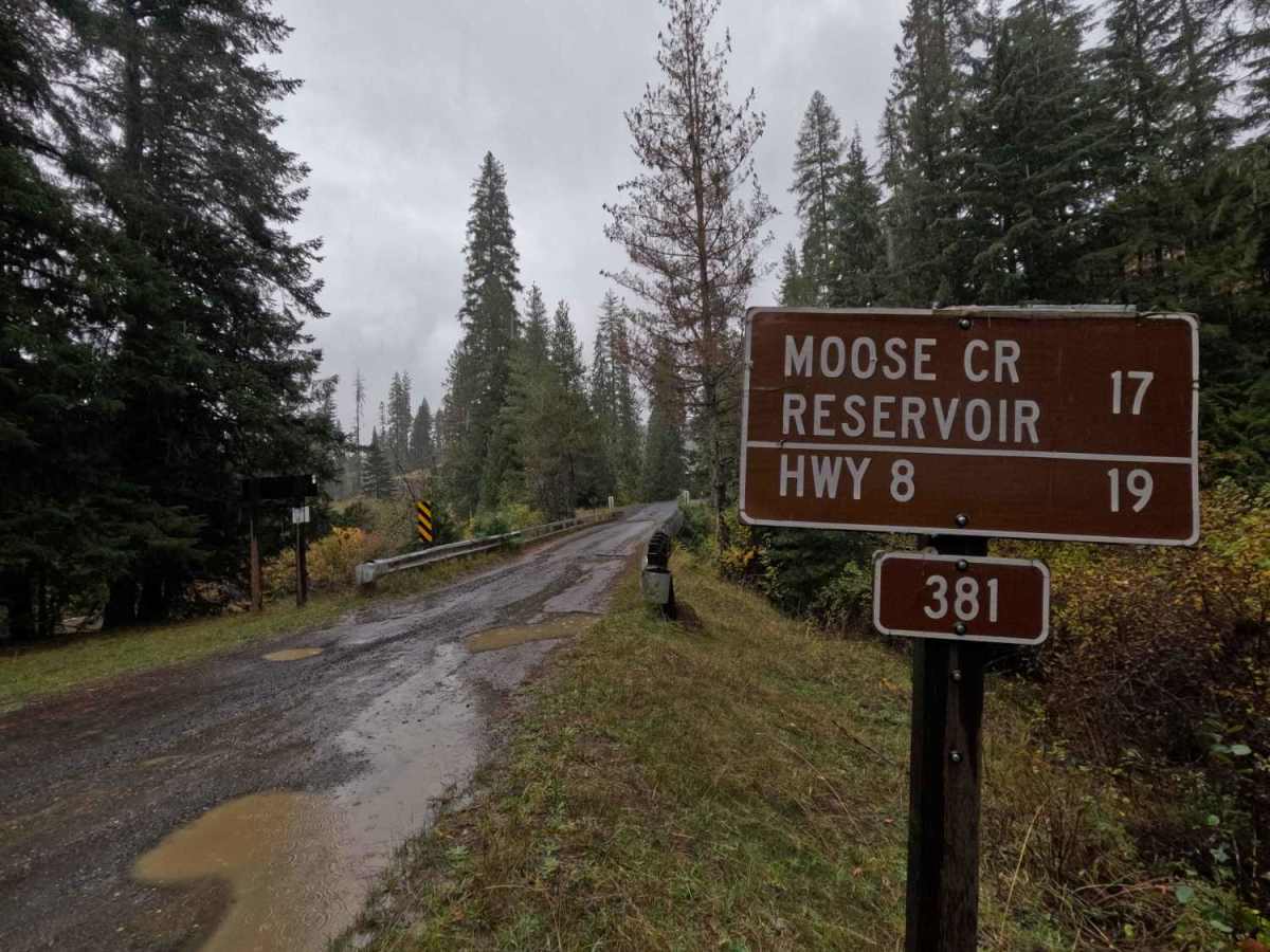 Moose Creek - FS 381  trail photo