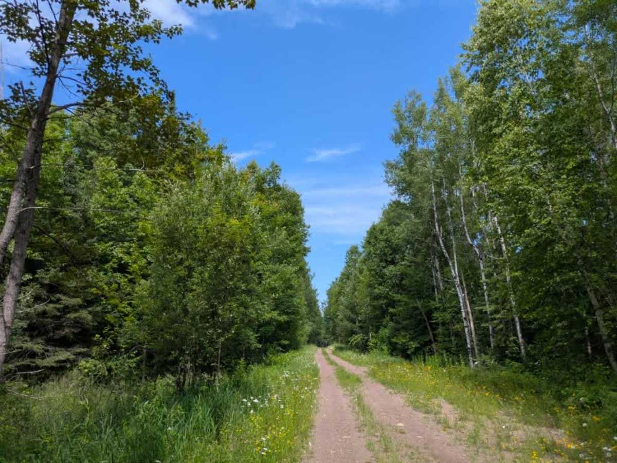 Kane Lake Spur J trail photo
