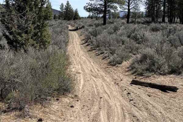 East Fort Rock OHV Trail 25