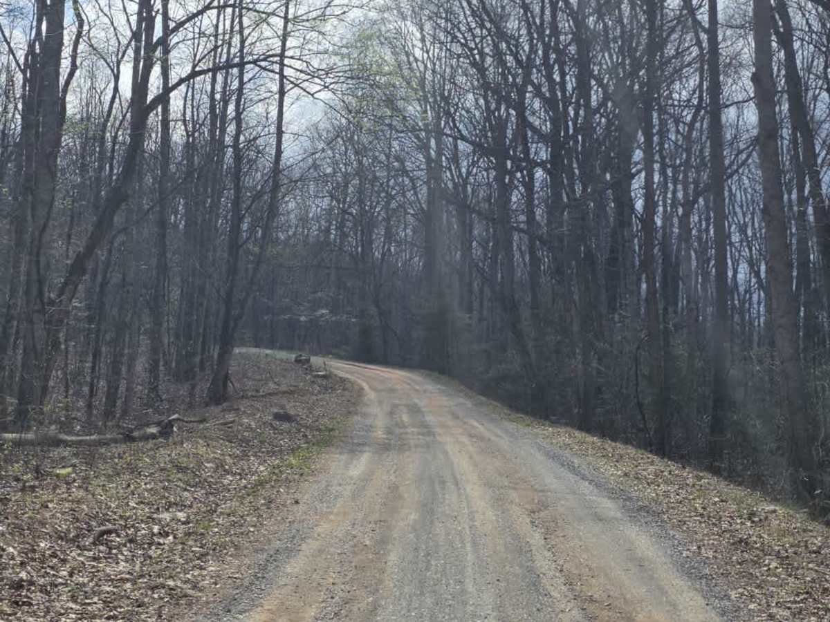Big Creek Road photo 6
