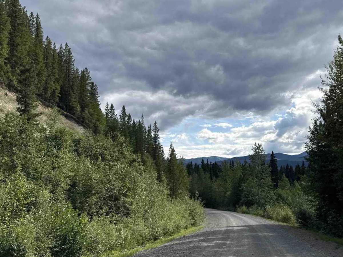 Bowron FSR (Haggle Creek) photo 3