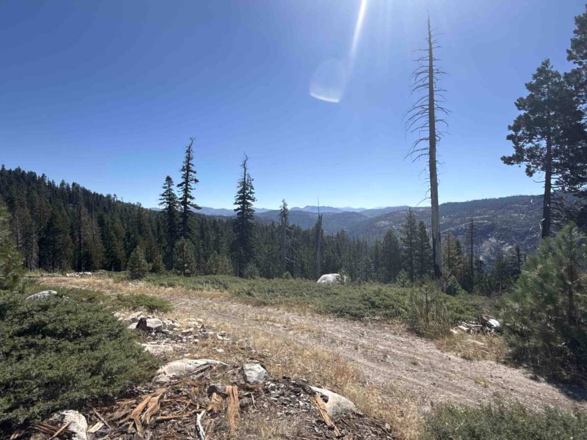 FS 6N79 trail photo