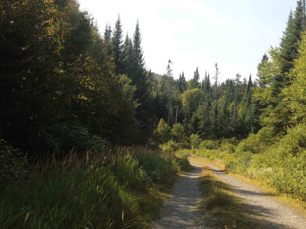 Rump Mountain Trail trail photo